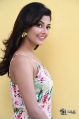 Anisha Ambrose At Fashion Designer Movie Success Meet